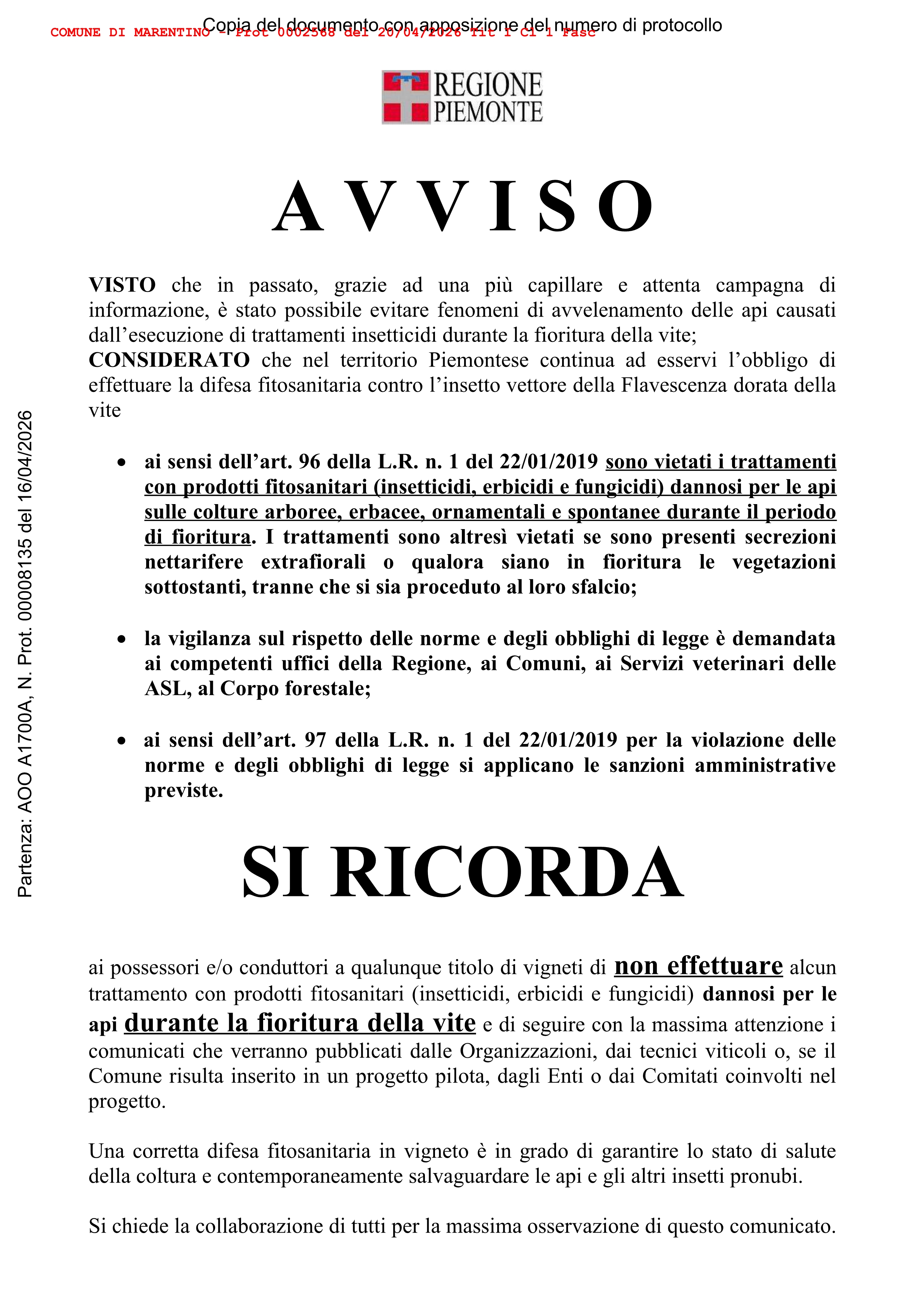Avviso Regione Piemonte flavescenza dorata